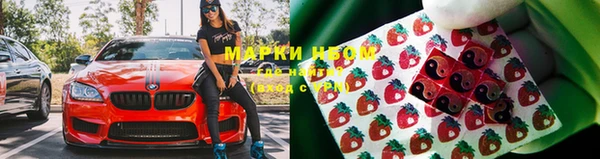молекула духа Медногорск