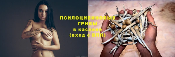 спайс Мегион