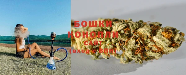 mdpv Медвежьегорск