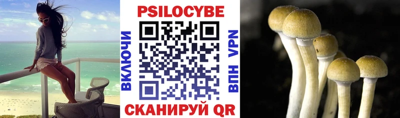 Галлюциногенные грибы Psilocybe  Орлов 